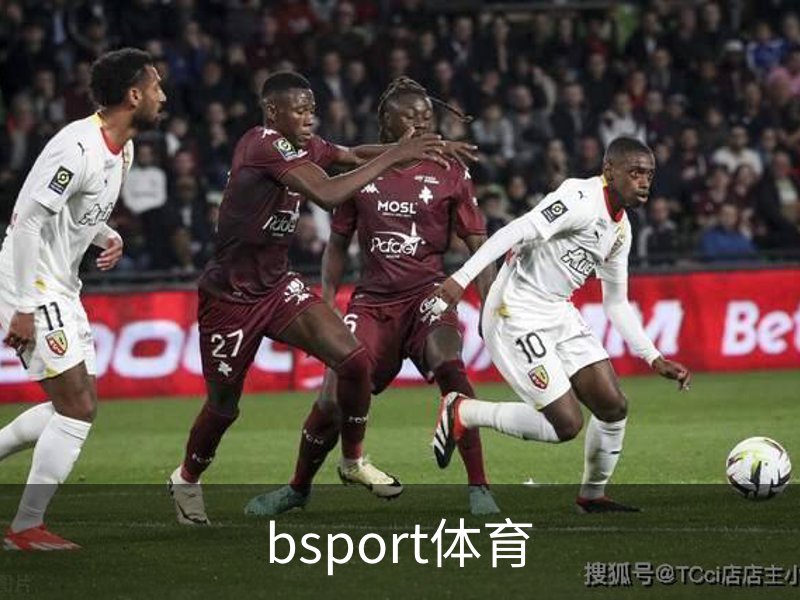 关于bsport体育